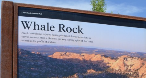 canyonlands69