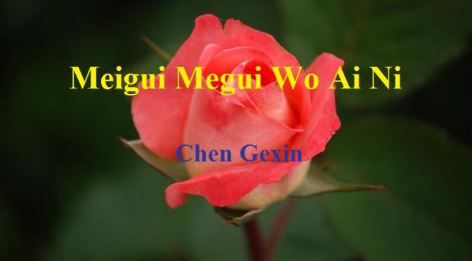 Tân Nhạc VN – Nhạc Ngoại Quốc Lời Việt – Dân Ca Dân Nhạc – “Cánh Hồng Trung Quốc” (“玫瑰玫瑰我愛你”, “Meigui Megui Wo Ai Ni”) – Chen Gexin