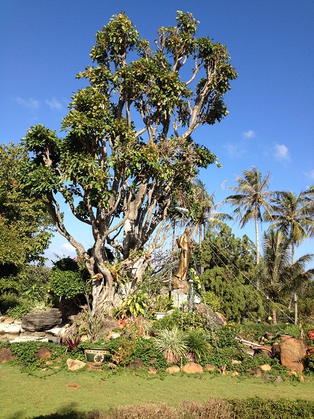 1/ Ảnh tượng Đức Mẹ sắc tộc thiểu số bằng đồng đặt trong khuôn viên Tu viện NVHB _ Bmt.