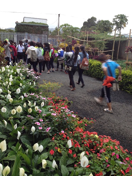 Các em nữ học sinh cấp III Lưu trú sắc tộc trên đường đi học.