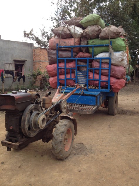 1/ Ảnh xe công nông củ mì khô của gia đình bố mẹ Thiên ở thôn Tư.