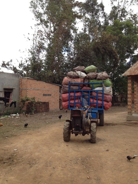 2/ Ảnh xe công nông củ mì khô chuẩn bị đến bán cho quán người Kinh trong Buôn Làng.