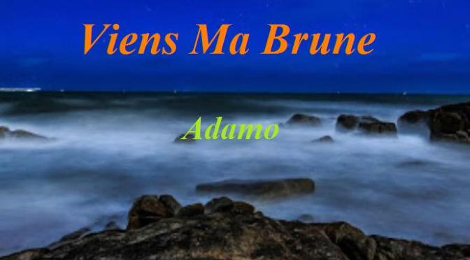 Tân Nhạc VN – Nhạc Ngoại Quốc Lời Việt – Nhạc Pháp Xưa – “Ngồi Nghe Sóng Vỗ” (“Viens Ma Brune”) – Adamo