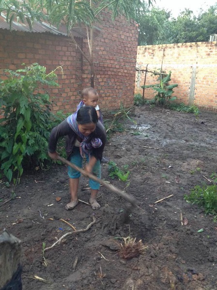 2/ Mẹ E cuốc lỗ trồng cỏ để nuôi bò.