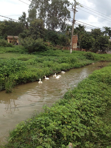 1/ Mương nước trên con đường chính của Buôn Làng sau cơn mưa.