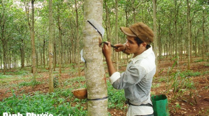 Lo cho con đi học