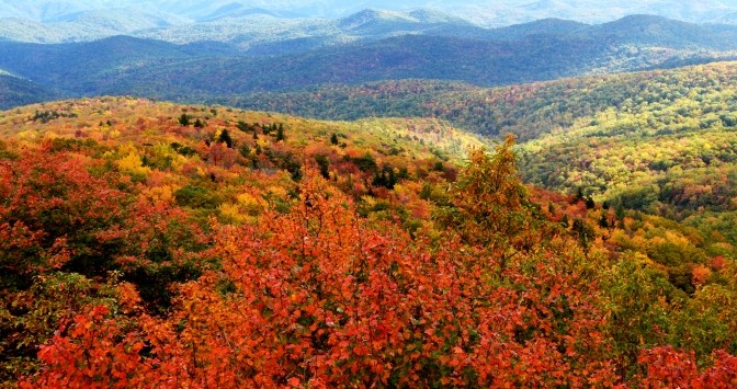 Sắc Thu Trên Dãy Appalachian 2016 – Shenandoah National Park – Skyline Drive