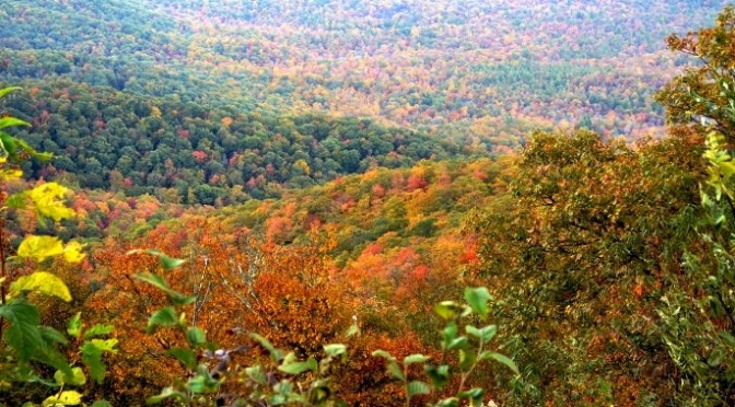 Sắc Thu Trên Dãy Appalachian 2016 – Blue Ridge Parkway – Phần 1