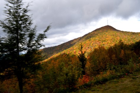 Điểm dừng này màu sắc rực sáng. Nhìn bên phải