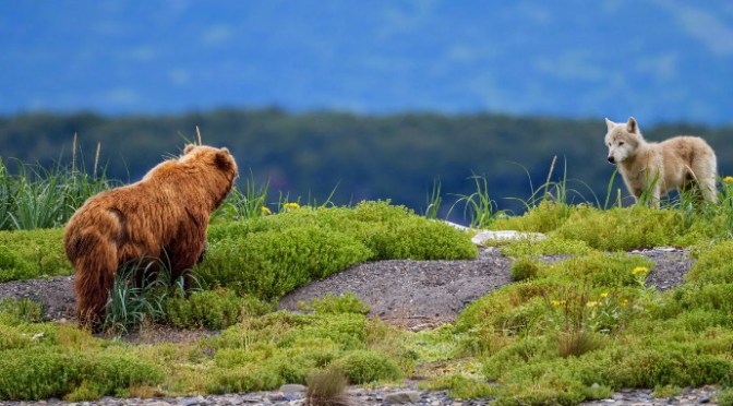 Tiếp tục – Carry on