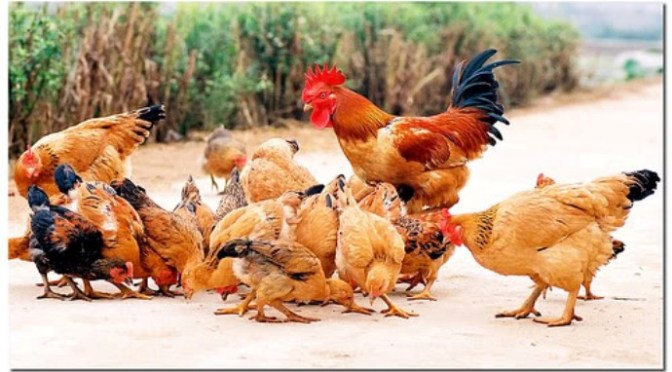 Nếu mắt mình chưa nhìn thấy