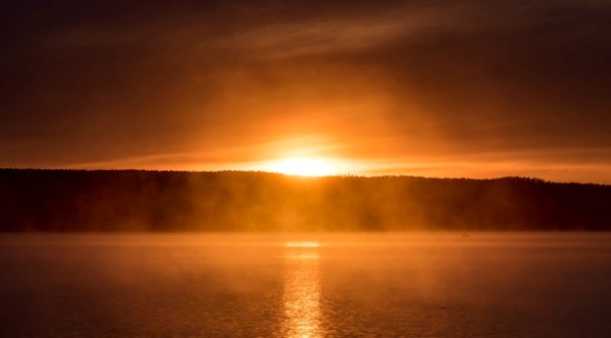 Âm trung hữu dương căn