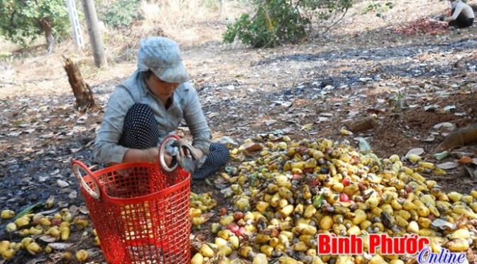 Quyền năng của Chúa