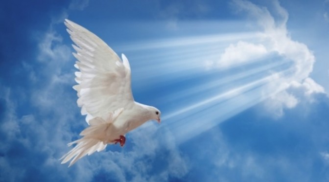 Sống hòa hợp với đời