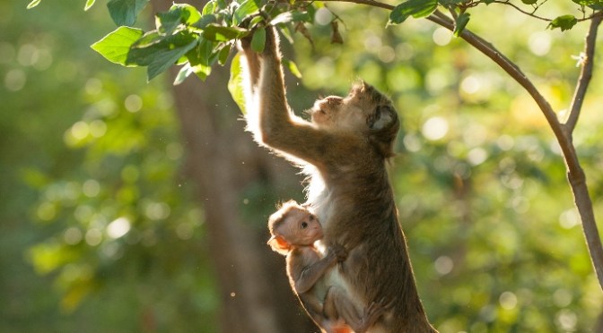 Đó là thế giới của ta – It’s our world