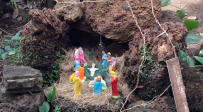 Ảnh sinh hoạt hằng ngày – Jan 9, 2016 – Hang đá