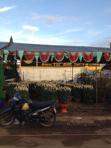 10_Khu vực bán hoa cúc đại đóa _ Bù Đăng