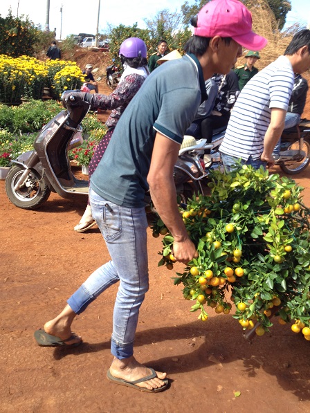 7_khach-mua-chau-canh-va-hoa-tet-3