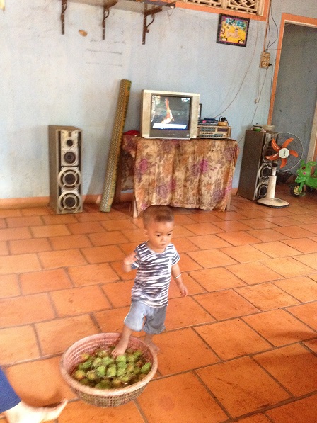 Cháu ngoại của ông bà Sriêng Sóc Bù Ramang – Bù Đăng, chơi trên rổ chôm chôm mời khách.