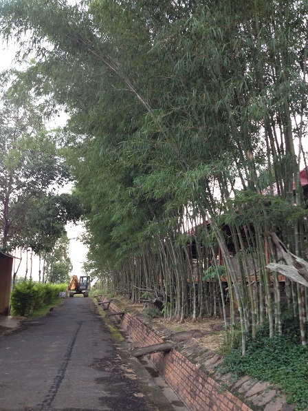 Con đường bên hông của nhà khách Đan Viện Thiên Hòa Gp. Bmt