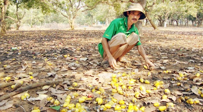 Tấm gương sống