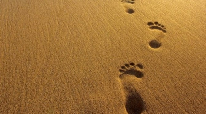 Sống như người mẫu của mình