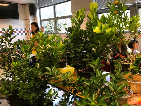 Một trong những hàng hoa trong chợ.