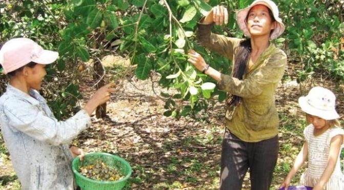 Không thể bỏ mặc mẹ