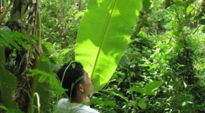 Nuôi dưỡng trái tim yêu thương