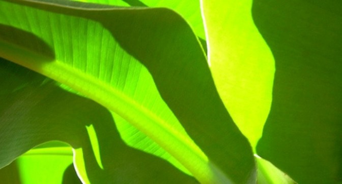 Chào mừng sinh nhật thứ 8 của ĐCN