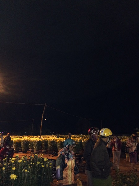 ?nh s? ch?u hoa cúc còn l?i không bán h?t c?a m?t ch? hoa, ? ch? hoa T?t Gialai ?êm 30 T?t 2017