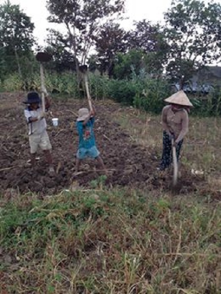 Ba mẹ con của mẹ Sót cuốc đất chuẩn bị trồng bắp vụ mùa hai _ Buôn Hằng