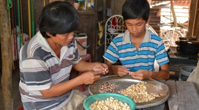 Ý nguyện của bố