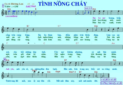 tinhnongchay_viet1
