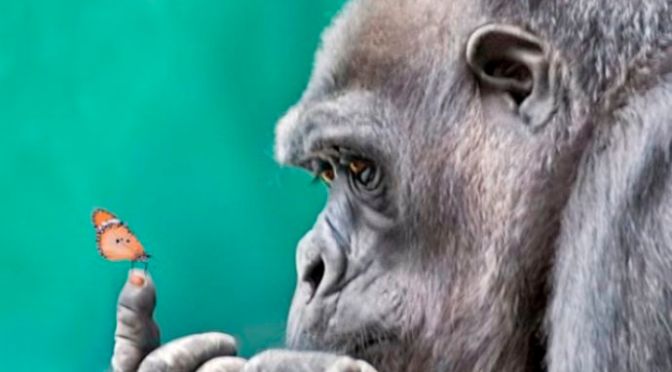 Lời cầu nguyện 87 – Prayer 87