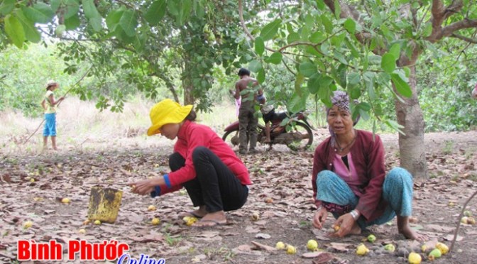 Không trách bố mẹ