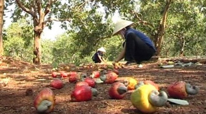 Biết thương người nghèo hơn