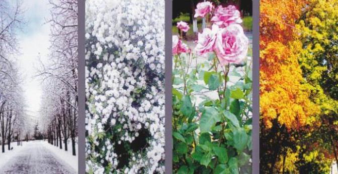 Dân ca Miền Nam: Lý Bốn Mùa – Linh Phượng