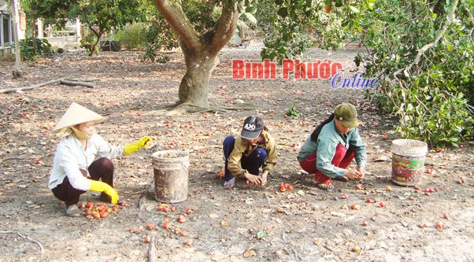 Muốn có chai sữa tắm trắng