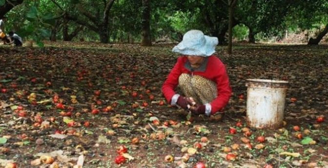 Ngày nào cũng có lương thực đủ dùng