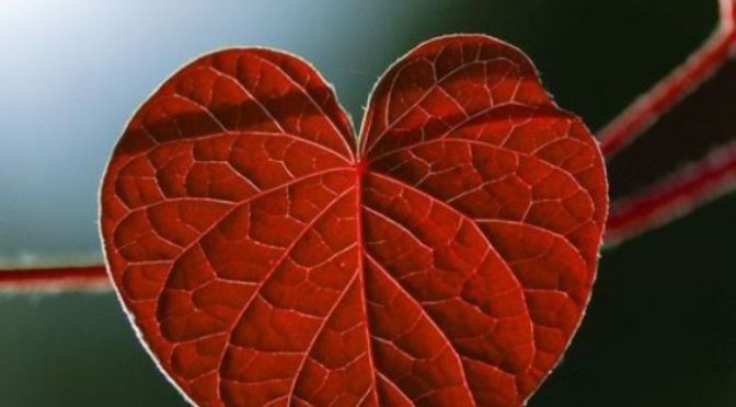 Cầu nguyện là gì? Sống bám vào Chúa 100%