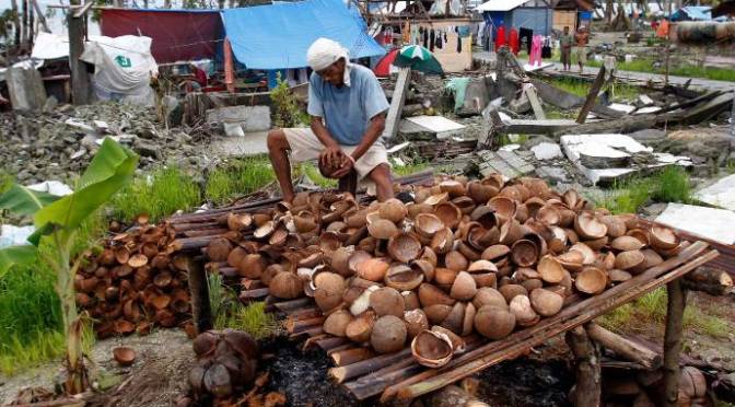 Làm sao để hưởng trái ngọt từ bùng nổ trồng dừa?  Nông dân Philipin dùng điện thoại