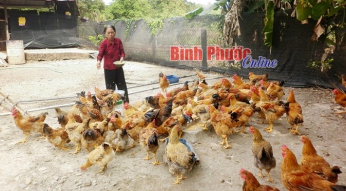 Mãi quan tâm công việc hơn là con cái