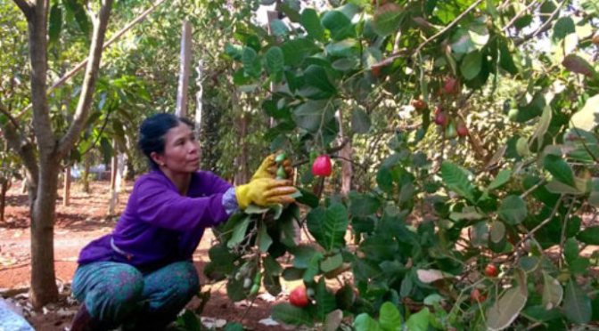 Mẹ và đồng hồ