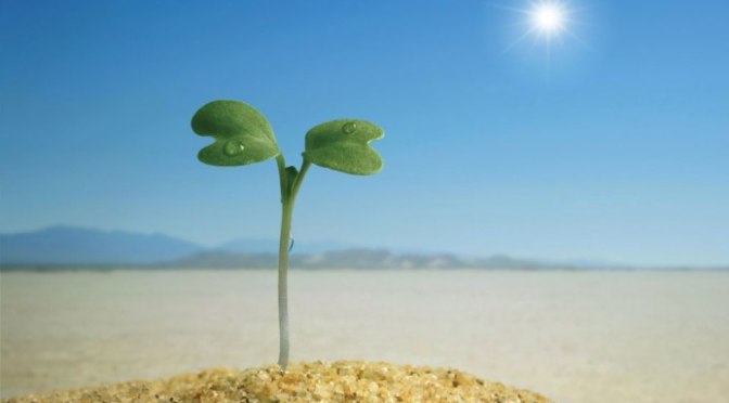 Thành thật và Quyết tâm