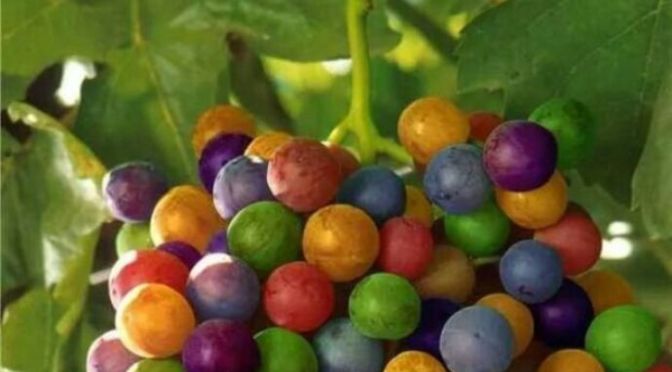 Lời cầu nguyện 283 – Prayer 283