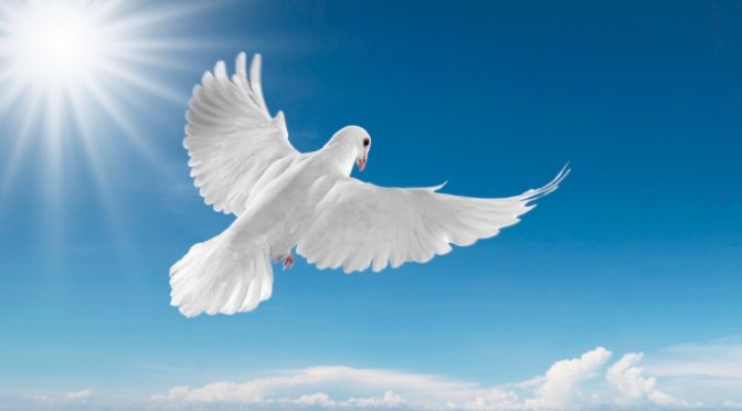 Luyện tâm tự do