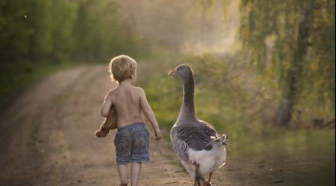 Lời cầu nguyện 294 – Prayer 294