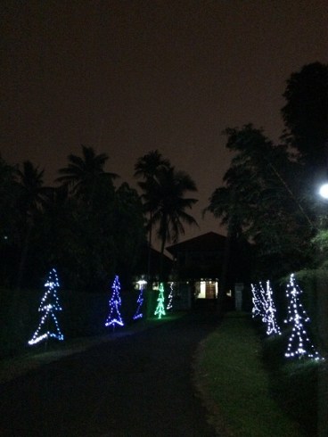 1 - Ảnh đường vào Tu viện Nữ Vương Hòa Bình – Bmt trong mùa Giáng Sinh.