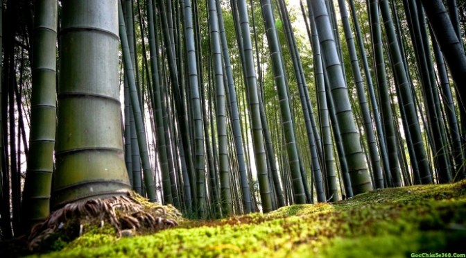 Tuyệt tác của Minh Đen